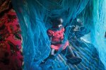 News at a glance: Modernizing bed nets, IDing a Solar System visitor, and health lessons from Beethoven’s hair