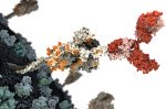 The COVID-19 virus mutated to outsmart key antibody treatments. Better ones are coming