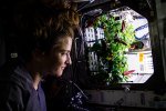 Crops grown without sunlight could help feed astronauts bound for Mars