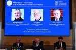 Creators of quantum dots, used in TV displays and cell studies, win chemistry Nobel