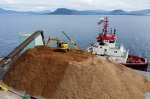 Innovative Carbon Capture at Sea: Companies Bury Plant Waste to Combat Climate Change