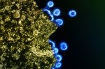 New Study Offers Hope for HIV-Infected Babies, But Cautions Remain