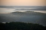 Revolutionary Technique: Satellite Signals Gauge Forest Moisture Vital for Survival