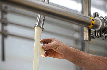 U.S. government in hot seat for response to growing cow flu outbreak