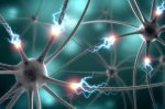 Sleep deprivation alters connections in the brain, mouse study finds