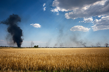 Satellite images reveal massive crop losses in war-torn Ukraine
