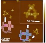 Breakthrough in Nanotechnology: Researchers Develop Self-Reproducing 3D DNA Nanorobots for Medical and Environmental Applications