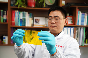 Researchers Develop Mononuclear Iron Compound to Aid in Direct Transformation of Methane into Methanol