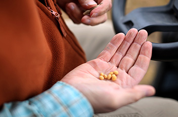 EPA decision to tighten oversight of gene-edited crops draws mixed response