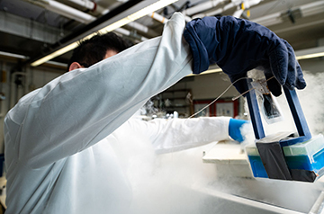 Scientists are learning how to cryopreserve living tissues, organs, and even whole organisms, then bring them back to life