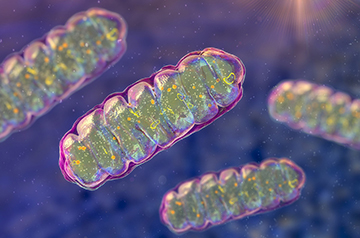 A blood test for Parkinson’s disease?