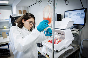 Two-pronged immunotherapy approach could treat most blood cancers