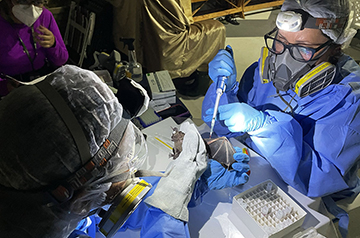 U.S. cancels program aimed at identifying potential pandemic viruses
