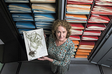 Outcry Over Closure of Duke University's Herbarium