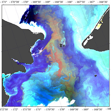 Warming oceans are pushing harmful algal blooms into polar waters