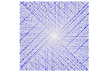 ‘Sensational breakthrough’ marks step toward revealing hidden structure of prime numbers