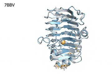 Google DeepMind releases code behind its most advanced protein prediction program