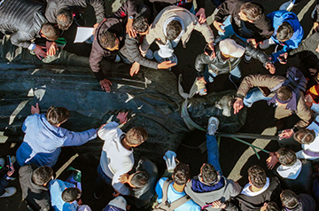 After years of war, can Syria rebuild its ‘miserable’ scientific community?