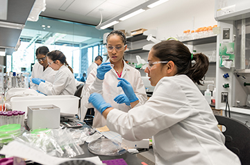 NSF downsizes summer research program for undergraduates