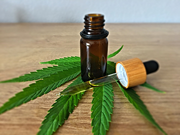 Investigating the Nexus of Cannabidiol and General Health: A Decade of Research Unveils Insights