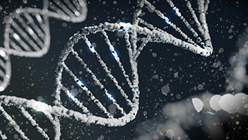 AI-MARRVEL (AIM): Revolutionizing Rare Genetic Disorder Diagnoses
