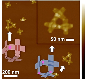 Breakthrough in Nanotechnology: Researchers Develop Self-Reproducing 3D DNA Nanorobots for Medical and Environmental Applications