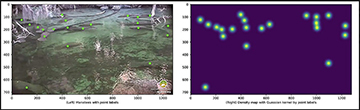 AI Breakthrough: Real-time Manatee Counting to Safeguard Endangered Species