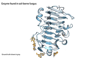 Powerful new AI software maps virtually any protein interaction in minutes
