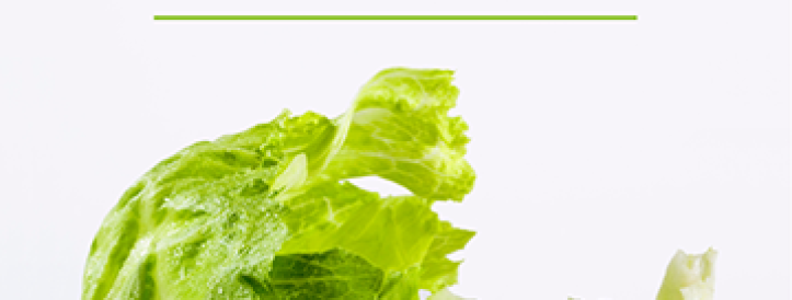 9 unique sections of important information,  9 different aspects of food technology, 9 promising solutions for the modern food industry.