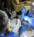 U.S. cancels program aimed at identifying potential pandemic viruses