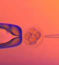 Genetics Group Accuses Company of Misusing Data for Embryo Genome Screening