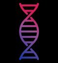 Controversial DNA Analysis Suggests Genetic Link Between Bisexual Behavior and Risk-Taking Traits
