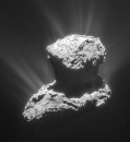 What is a presumed sign of life doing on a dead comet?