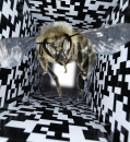 Buzzkill: Accusations are leveled at research on how dancing bees measure distances