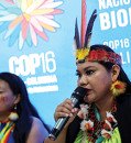 Global biodiversity convention comes up short on funding conservation