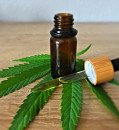 Investigating the Nexus of Cannabidiol and General Health: A Decade of Research Unveils Insights