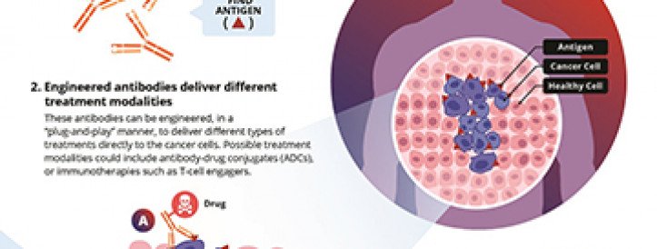 LICENSING AGREEMENT WITH BOEHRINGER INGELHEIM TO DEVELOP TARGETED CANCER THERAPIES