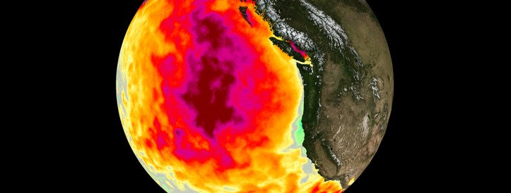 Deadly Pacific ‘blobs’ tied to emission cuts in China