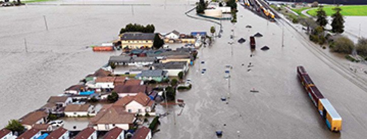 News at a glance: Removing race from genetics, rising U.S. death rates, and a very long neck