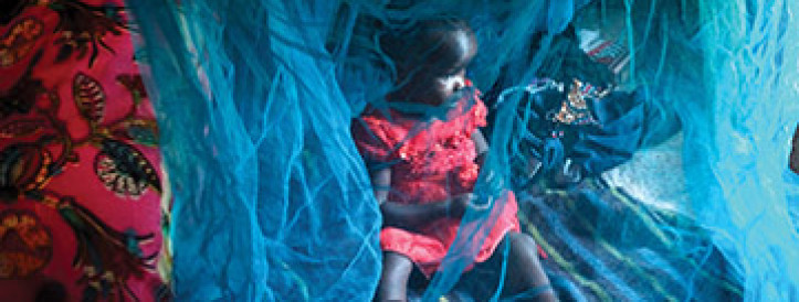 News at a glance: Modernizing bed nets, IDing a Solar System visitor, and health lessons from Beethoven’s hair