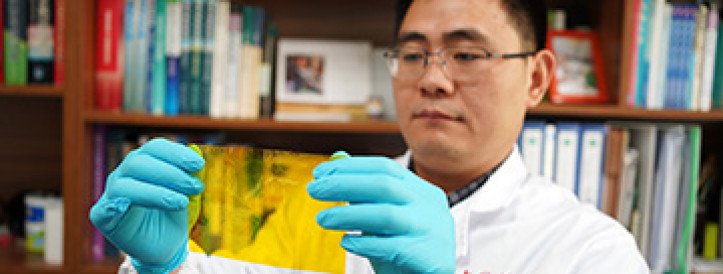 Researchers Develop Mononuclear Iron Compound to Aid in Direct Transformation of Methane into Methanol