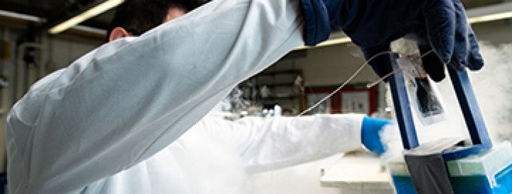 Scientists are learning how to cryopreserve living tissues, organs, and even whole organisms, then bring them back to life