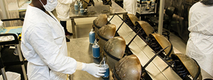 Is an end to using imperiled horseshoe crabs for U.S. drug testing in sight?