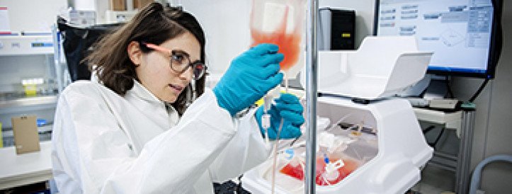 Two-pronged immunotherapy approach could treat most blood cancers