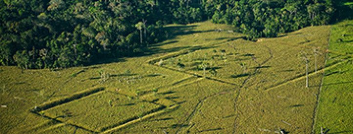 Laser mapping reveals hidden structures in Amazon—with hints at thousands more