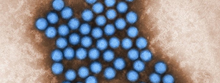 Breakthrough in Cancer Therapy: Oncolytic Virus Shows Promise in Late-Stage Trial