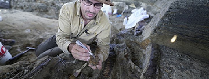 Paleontologist Accused of Research Misconduct in Dinosaur Extinction Study; University Investigation Reveals Poor Research Practices