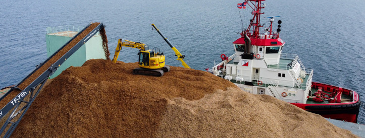 Innovative Carbon Capture at Sea: Companies Bury Plant Waste to Combat Climate Change