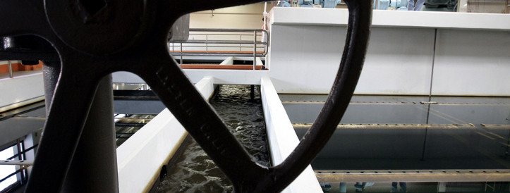 Court Battle Rages Over Fluoride in Drinking Water and Its Alleged Impact on IQ