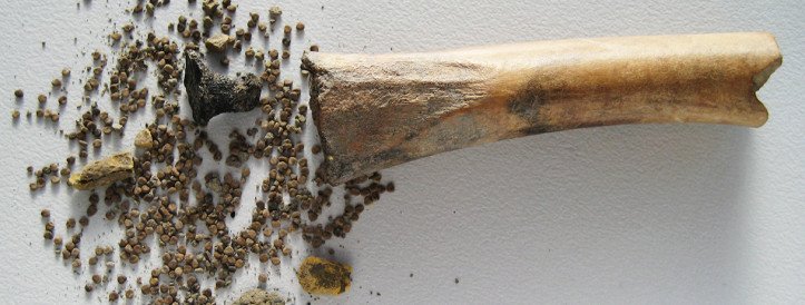 Roman-Era Discovery Unveils Potent Medicinal Artifact